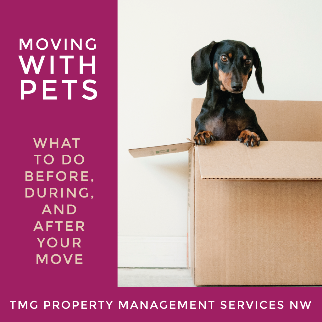 Moving with Your Pets
