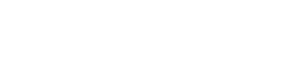 Castle Apartments Logo
