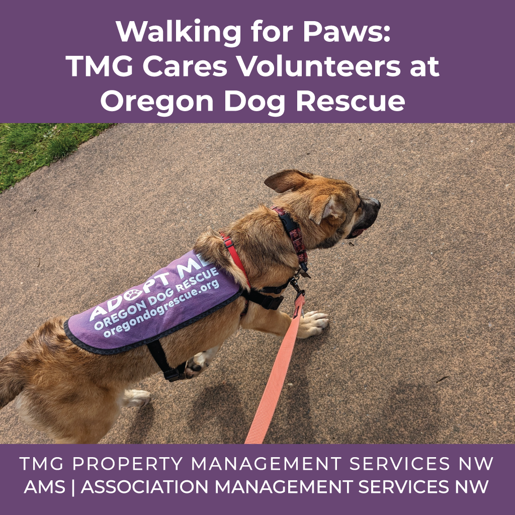 2023 03 31 TMG Cares Volunteers at Oregon Dog Rescue