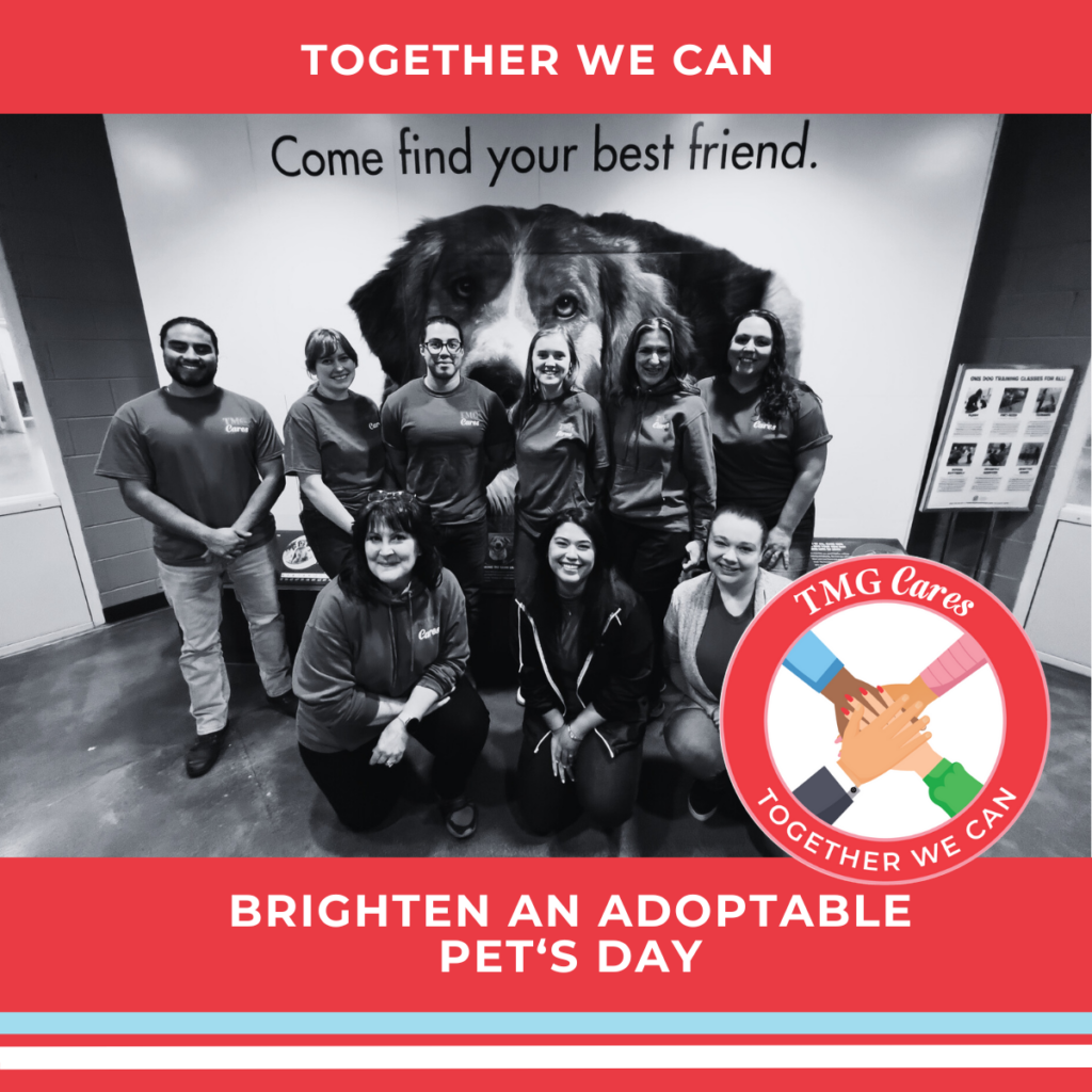 Togethr We Can Brighten an Adoptable Pets Day
