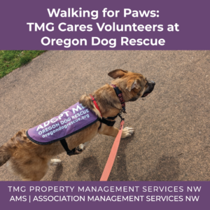 2023-03-31_TMG-Cares-Volunteers-at-Oregon-Dog-Rescue